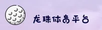 龙珠体育官方网站